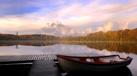 Lake view